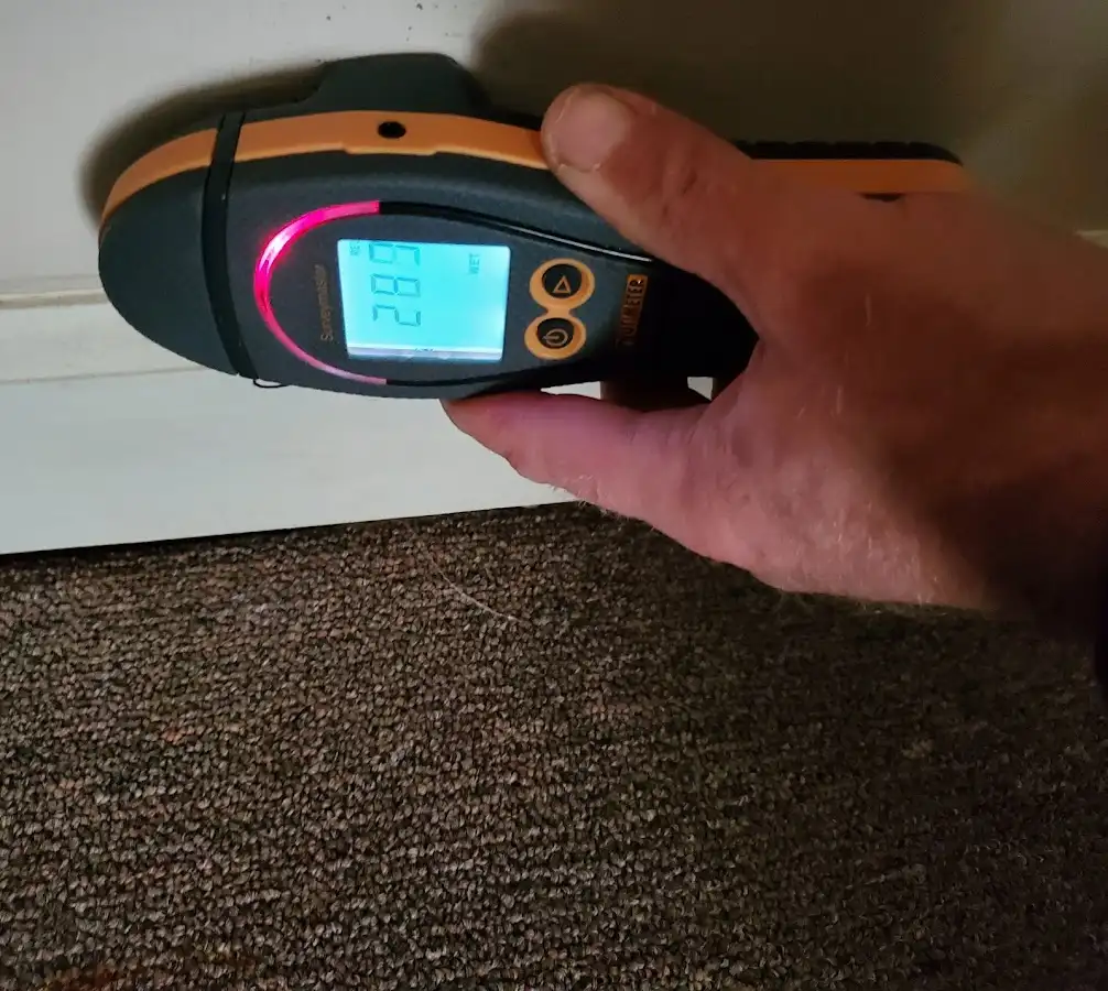Moisture detection at baseboard during Mold Inspection & Testing in Eagan